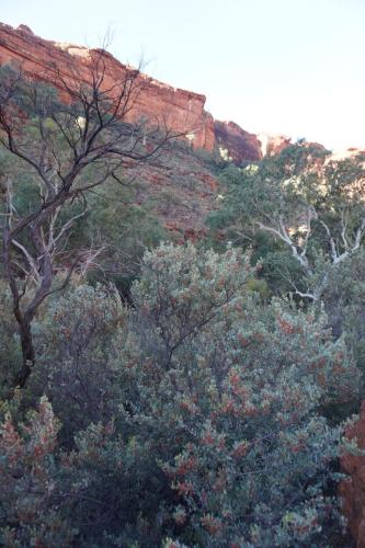 King's Canyon, NT, Australia