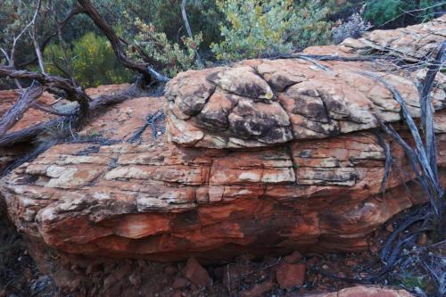 King's Canyon, NT, Australia