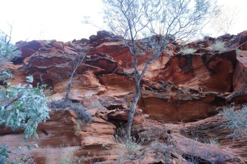 King's Canyon, NT, Australia