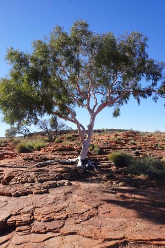 King's Canyon, NT, Australia