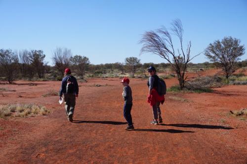 Uluru, NT, Australia