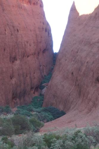 Kata Tjuṯa, NT, Australia